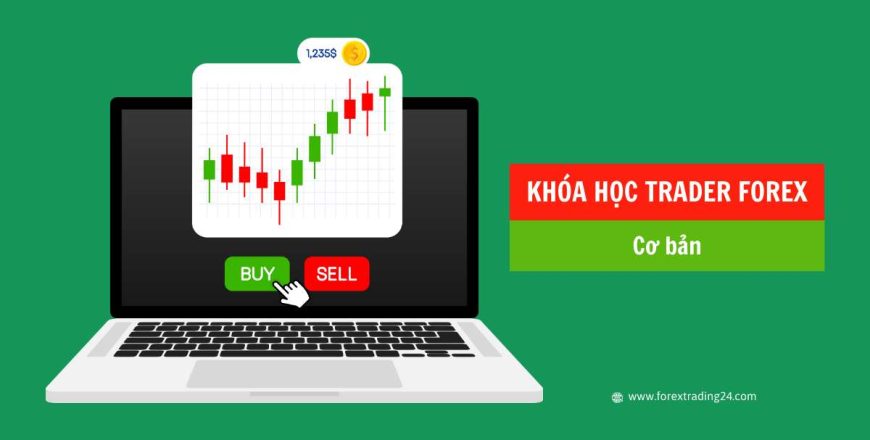 KHÓA HỌC TRADER FOREX CƠ BẢN