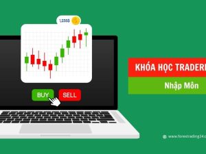 KHÓA HỌC TRADERFOREX NHẬP MÔN.jpg